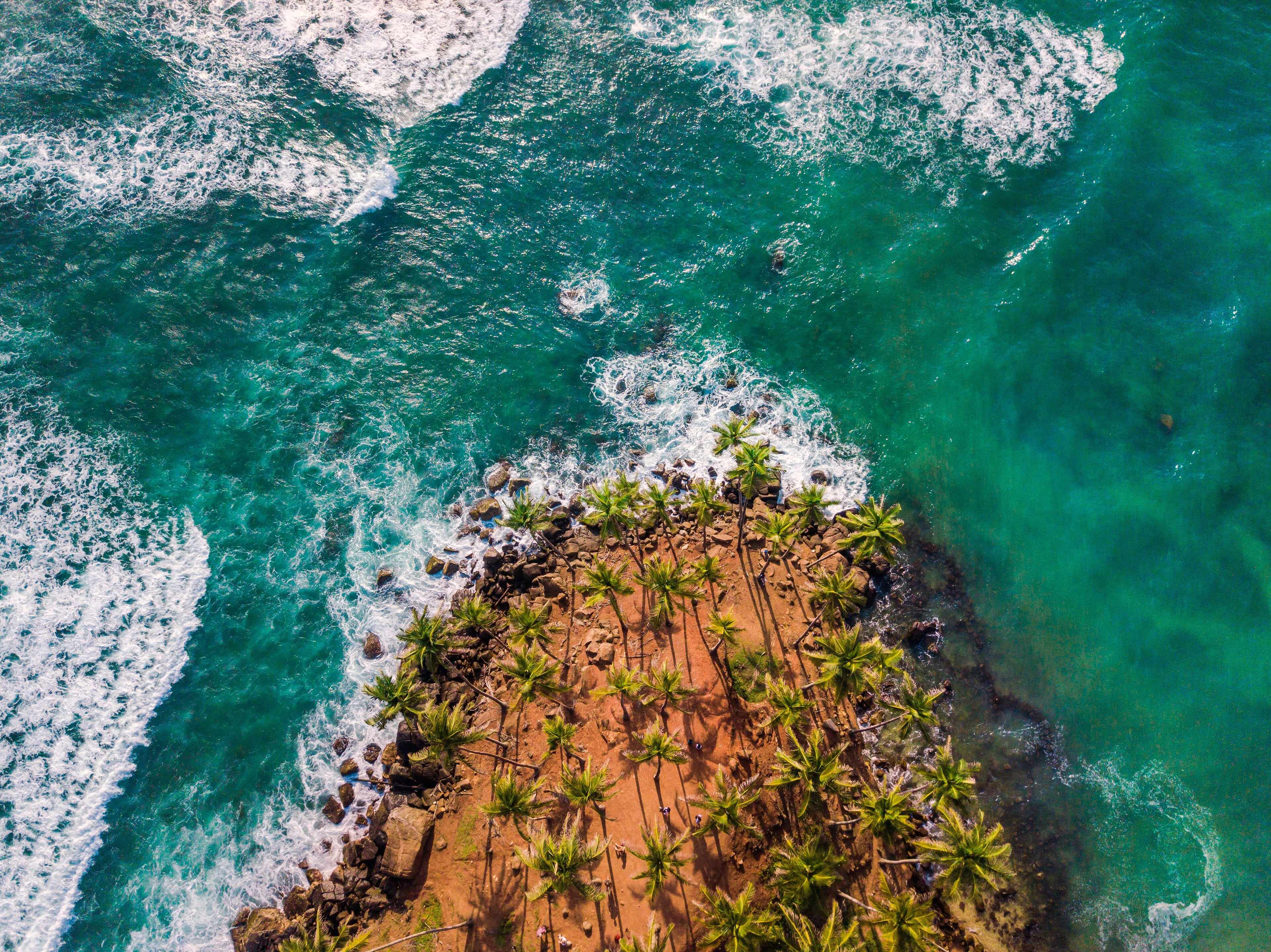 Aerial view of Coconut Tree Hill in Mirissa, a palm-covered headland in turquoise sea