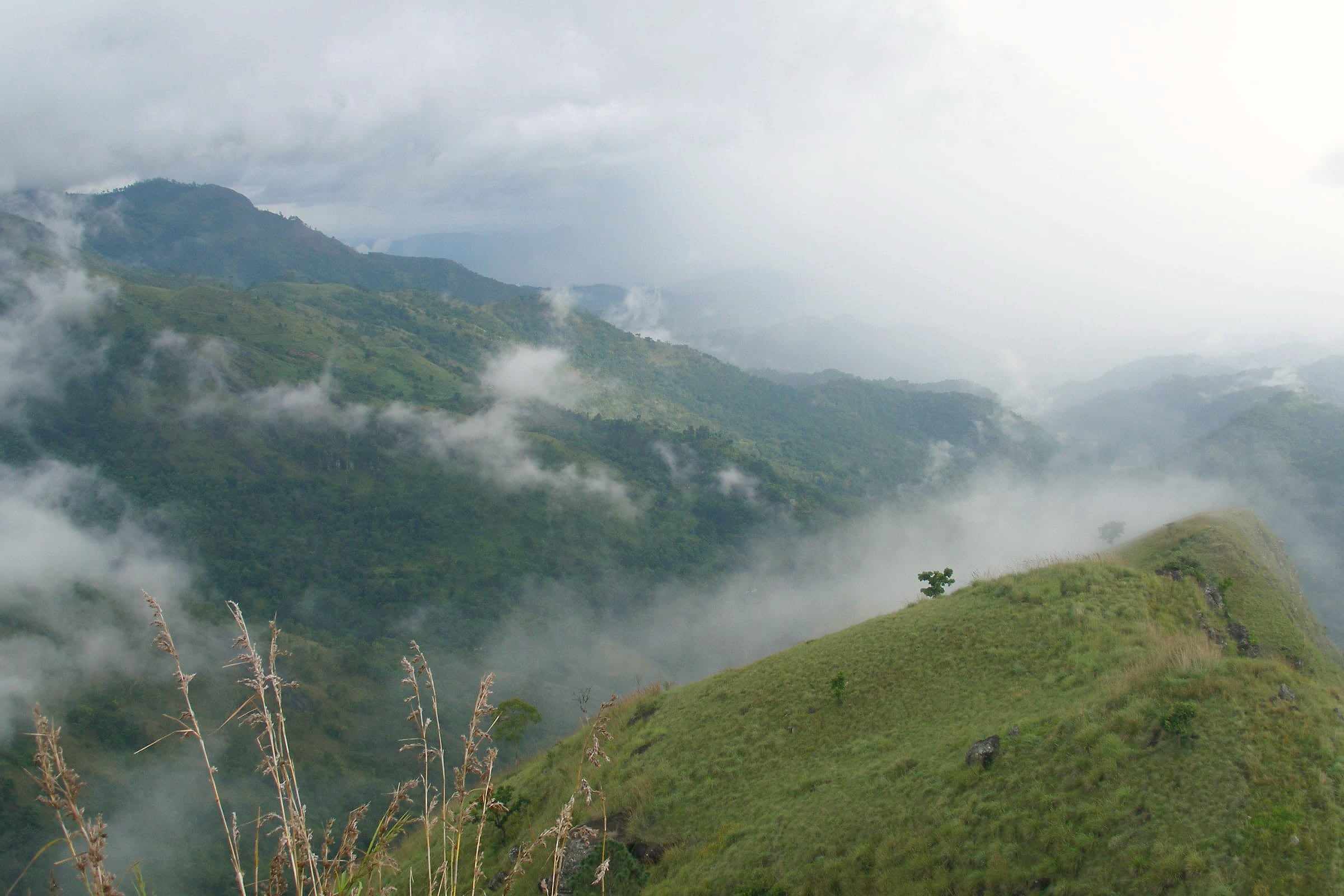 Mist drifting over forested mountains in the hill country